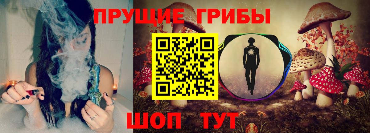 Галлюциногенные грибы Magic Shrooms  Вход с VPN  Псилоцибиновые грибы Magic Shrooms  Ставрополь 